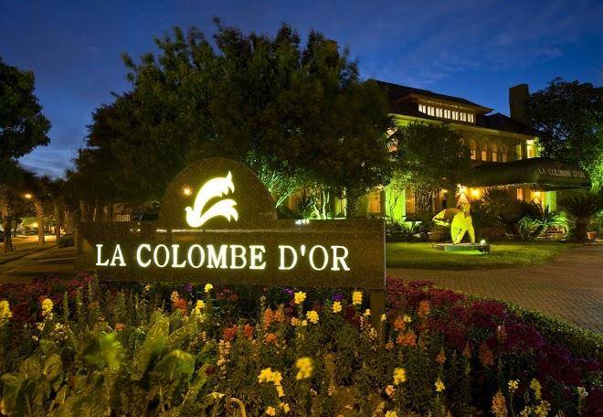 La colombe d'or hotel