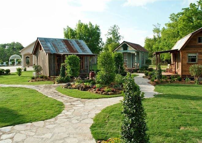 Silver Sycamore Image