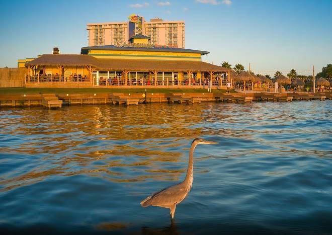 Margaritaville lake resort lake conroe houston