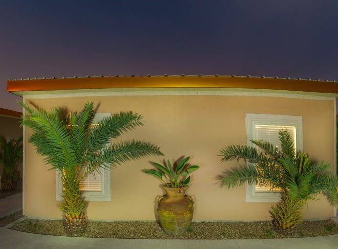 Shadow palm