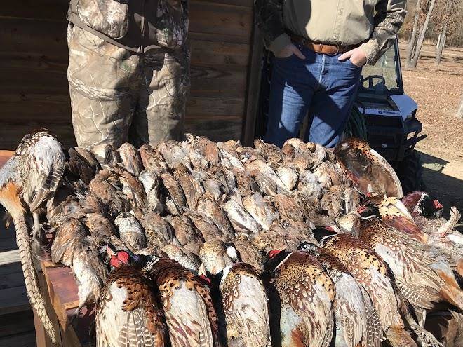 Wcr quail hunting resort llc