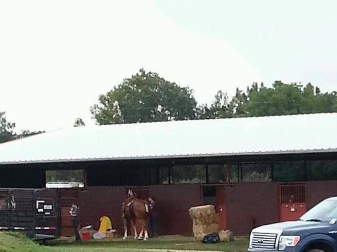 Nueces canyon ranch