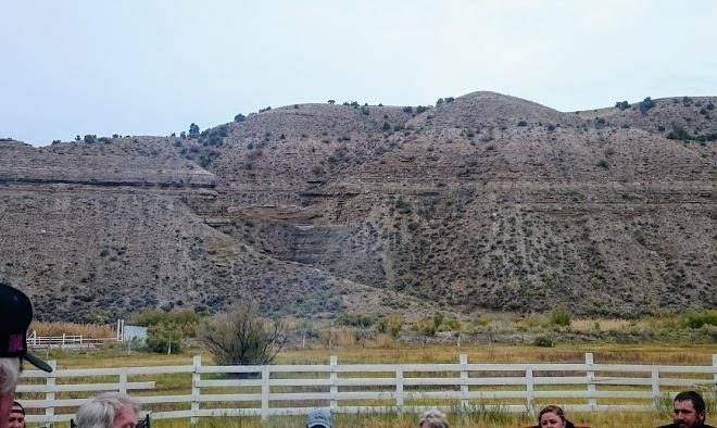 Strawberry river bed and breakfast