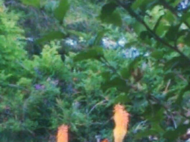 The Neighborhood Suites Image