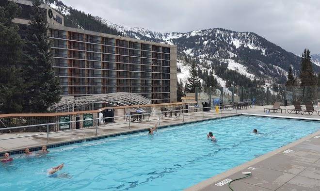 Snowbird