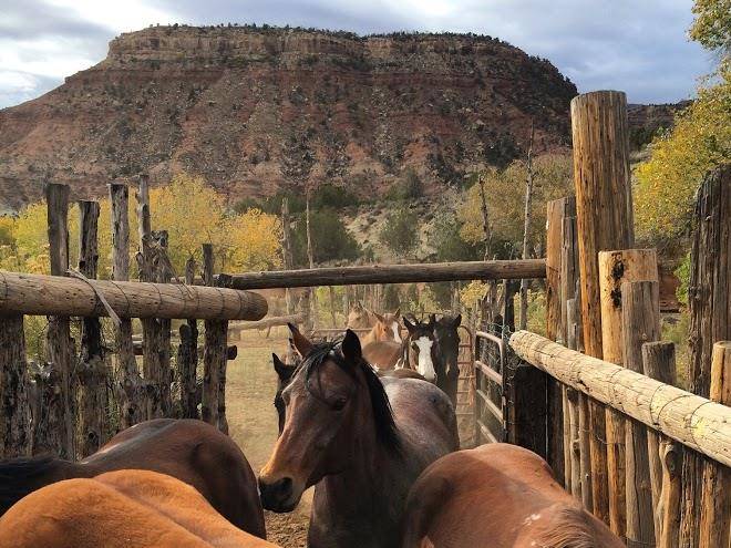 Zion wright family ranch