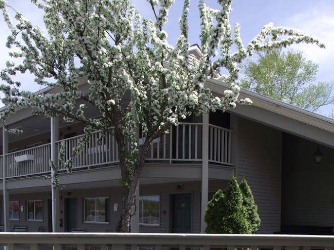 The lakefront inn