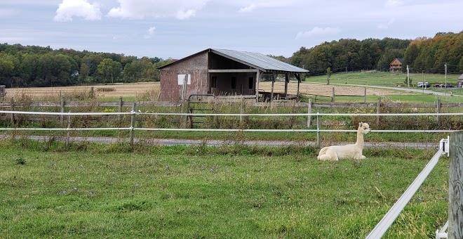 Crescent bay farm