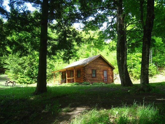 Birch meadow luxury log cabins