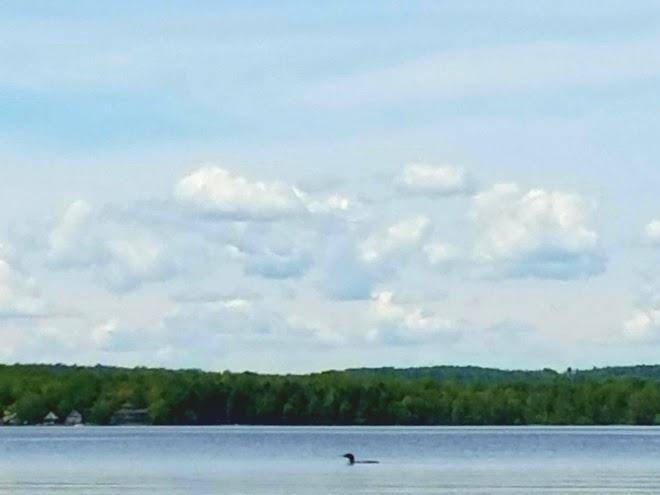 Lake salem inn