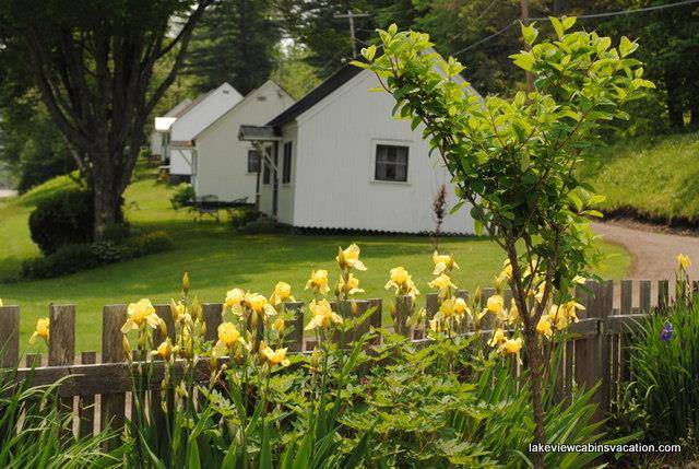 Lakeview cabins