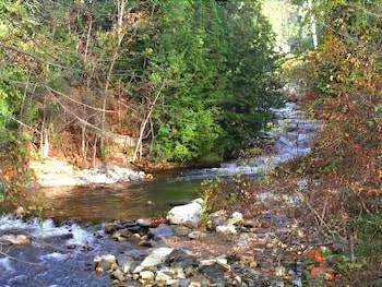 The inn at neshobe river