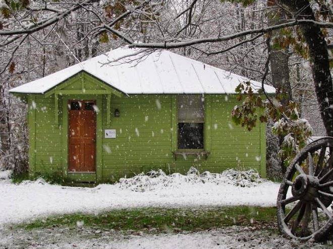 The woods lodge