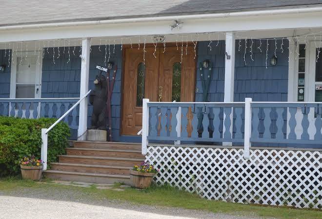 Big bears lodge