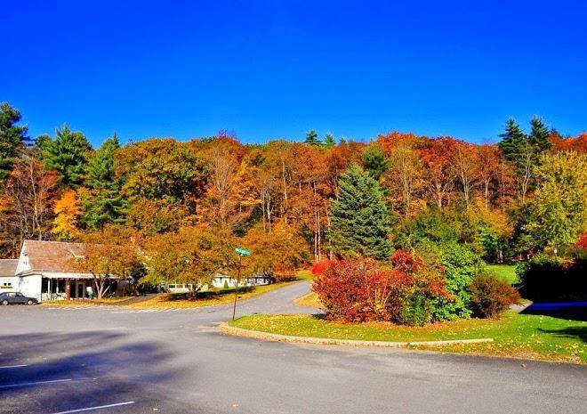 Econo lodge