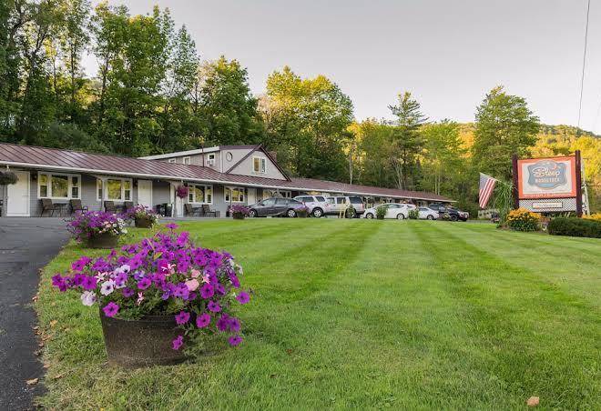 Sleep Woodstock Motel Image