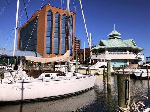 The Landing at Hampton Marina Tapestry Collection by Hilton