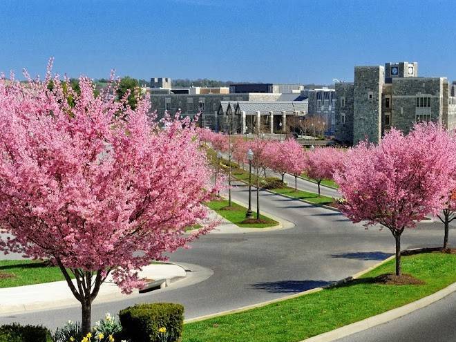 The inn at virginia tech and skelton conference center