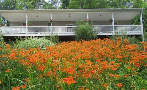 Simpson's hollow bed and breakfast