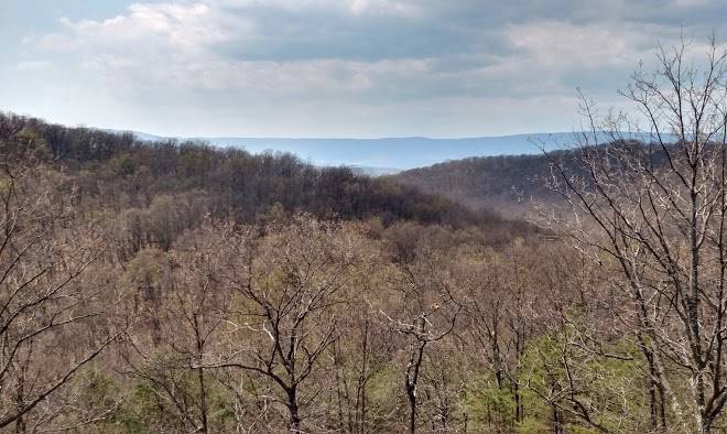 Sunridge retreat in shenandoah woods