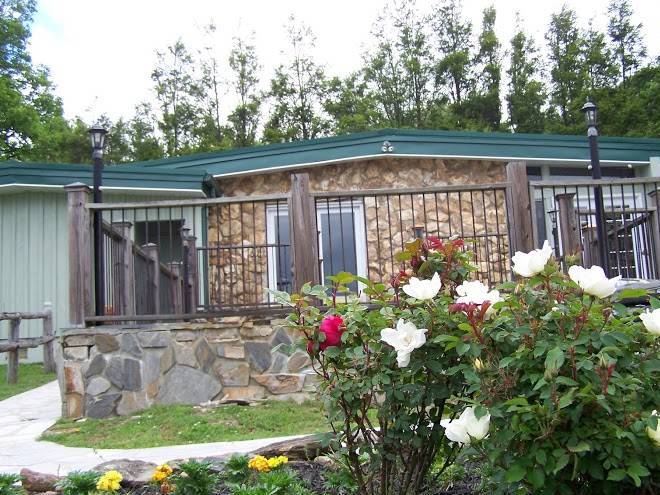 Doe run lodging at groundhog mountain