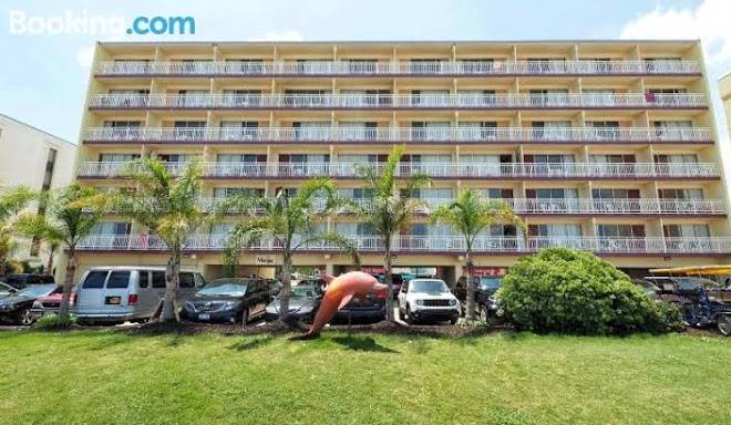Marjac suites