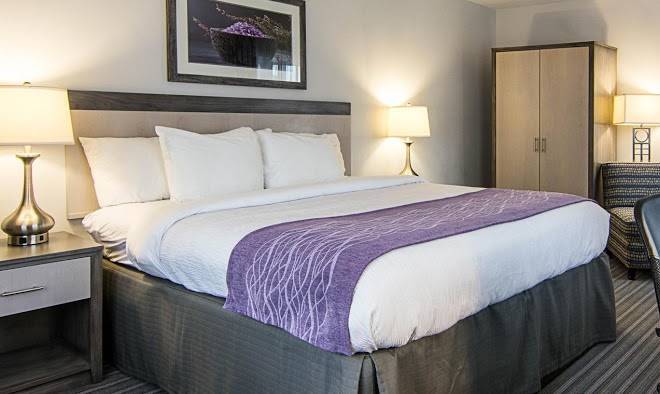 Comfort inn williamsburg gateway