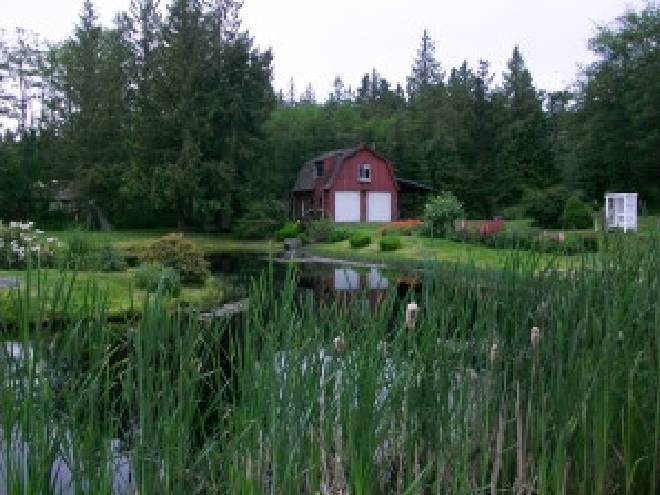 Nelson's duckpond & lavender farm