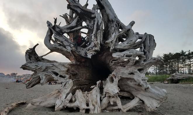 Quileute oceanside resort