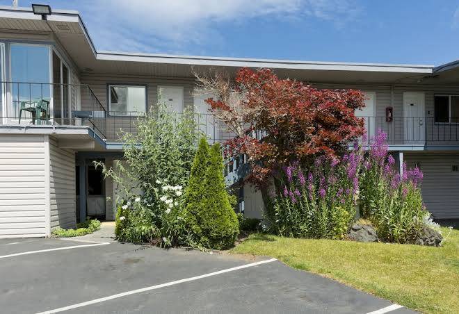 Riviera inn