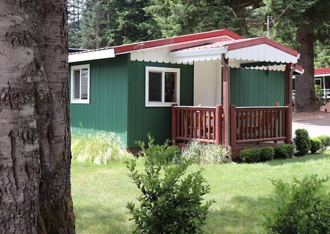 Lone fir resort