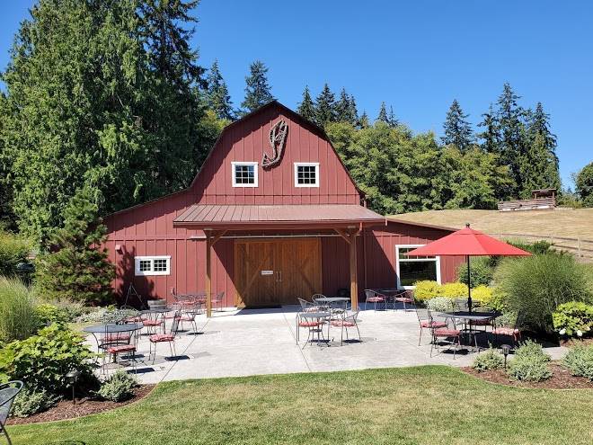 Dancing fish vineyards