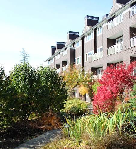 Salish lodge & spa