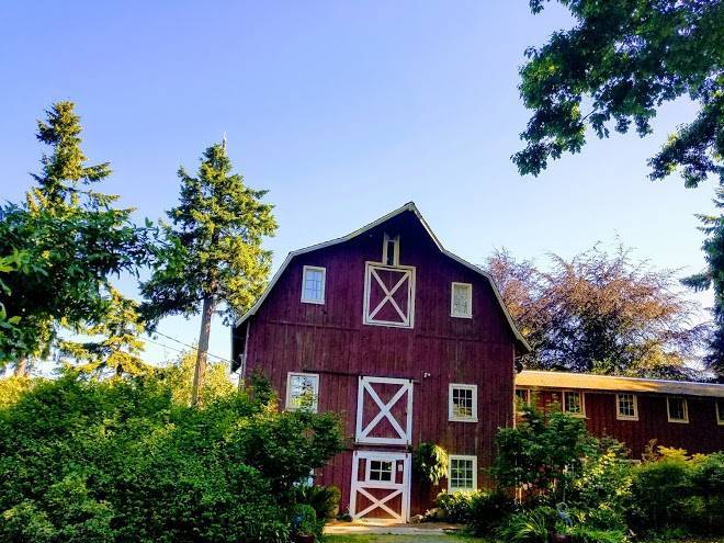 The betty macdonald farm