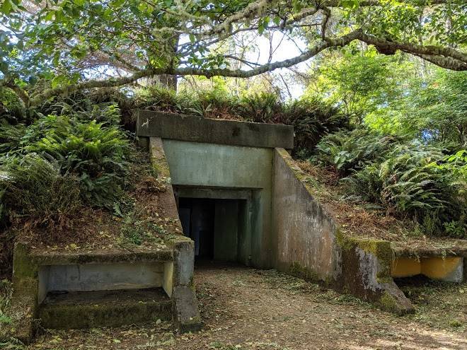 A loop of cape disappointment state park