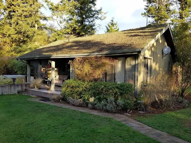 Old trout inn