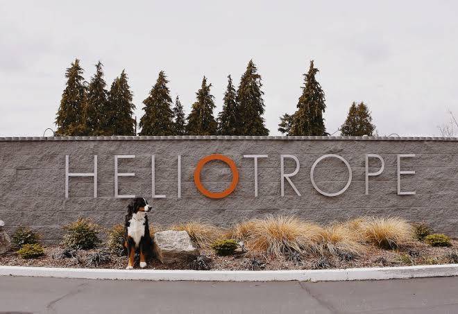 Heliotrope hotel