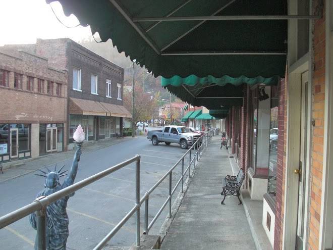 Blue goose saloon & inn