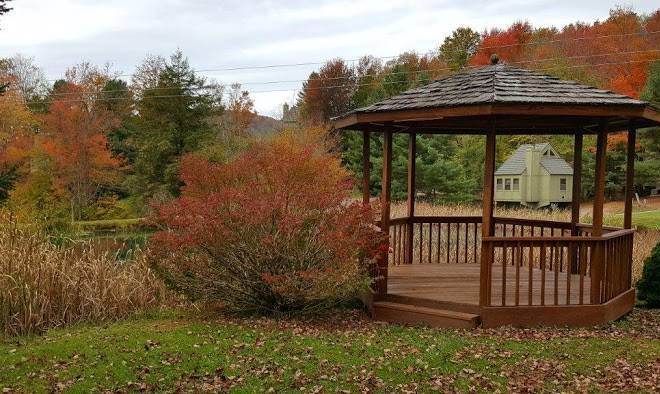 Black bear resort