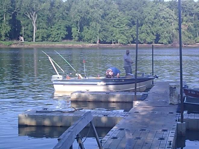 Schleicher's landing