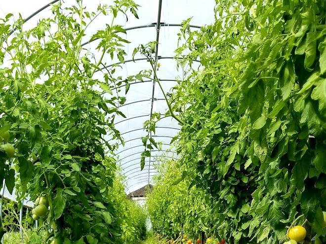 Wellspring education center & organic farm