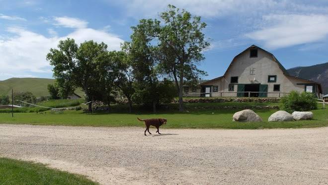 Hf bar ranch