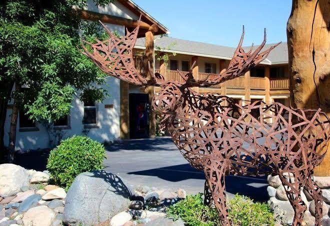 Moose creek lodge & suites