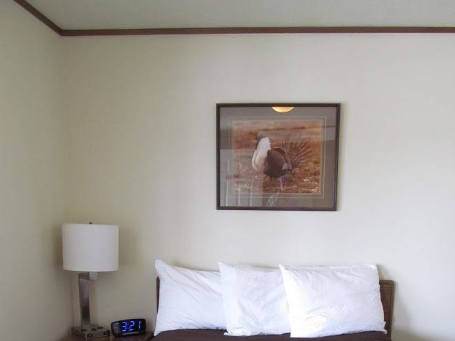 The Meeteetse Inn Image