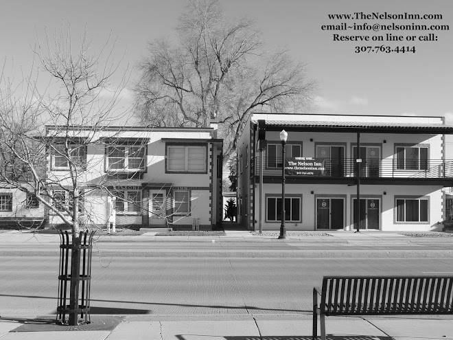 The nelson inn