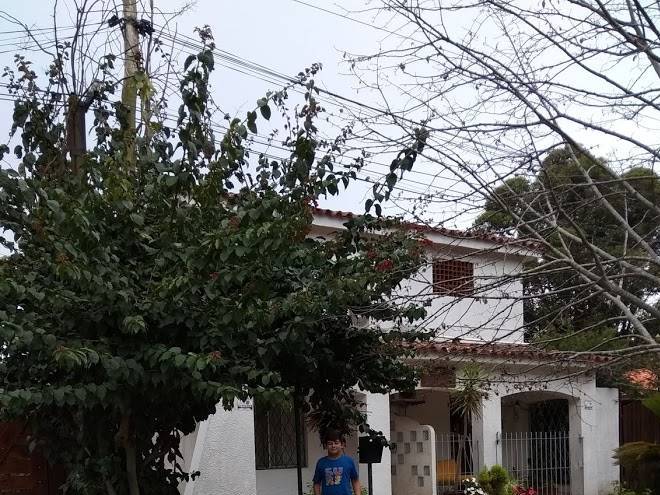 Alojamiento las palmitas