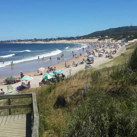 Forest punta del este