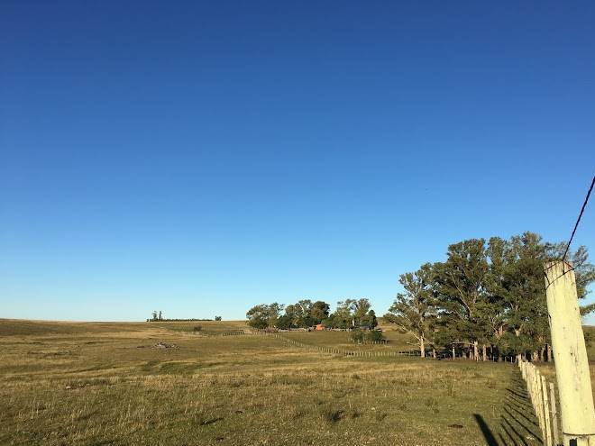 Estancia la martina