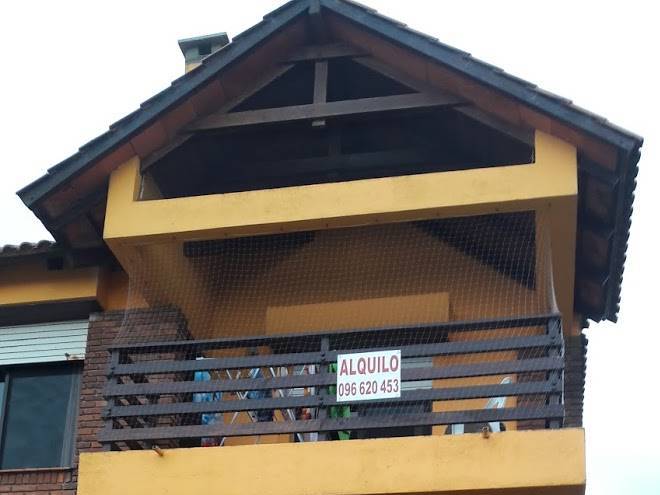 Cabanas palmer
