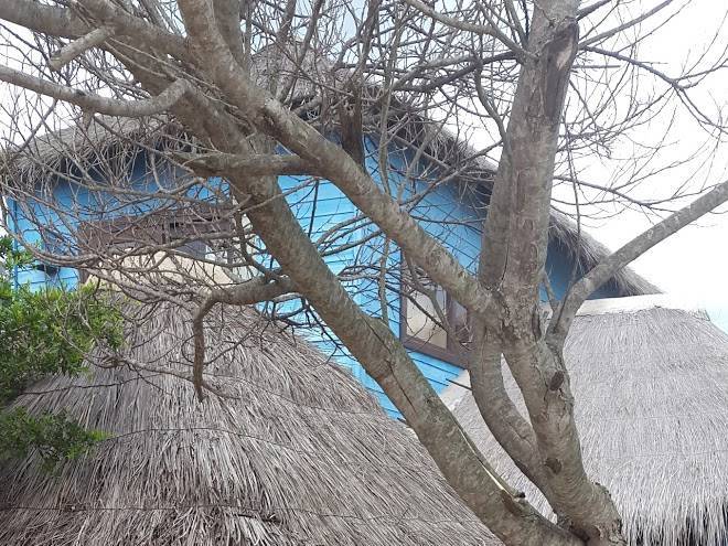 Cabanas las pitangas